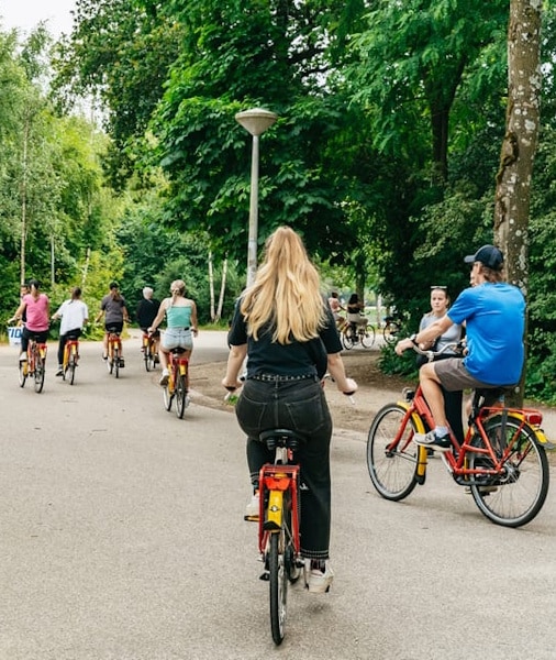 tour en bicicleta por amsterdam ()